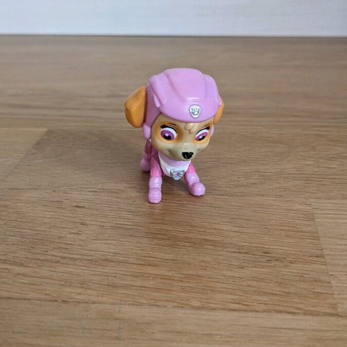 Skye Paw Patrol used