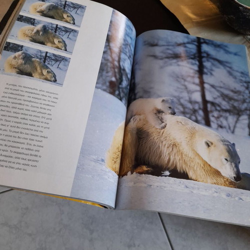 National Geographic magazine used, collectible edition