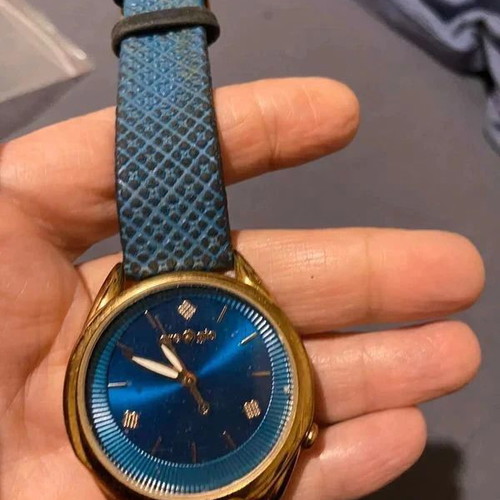 Gregio GR117081 women's watch used, blue dial