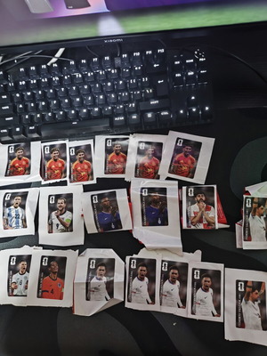 World Cup Panini Coca Cola stickers new set of 19