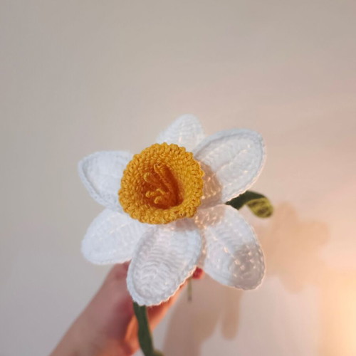 Handmade Narcissus Crochet Flower New, Cotton Yarn