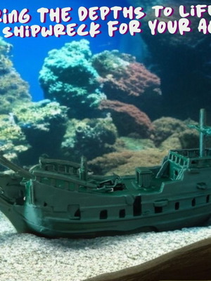 Aquarium Shipwreck Decoration New