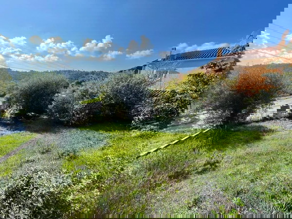 ΠΩΛΕΙΤΑΙ ΕΚΤΑΣΗ 16000 ΤΜ ΣΤΗΝ ΚΕΡΚΥΡΑ