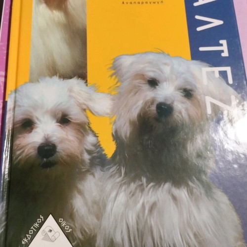 Maltez book like new