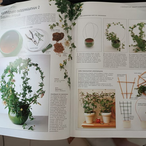 John Brookes Indoor Gardens book