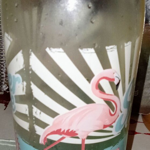 Cerve 2019 water bottle used, glass 1000ml