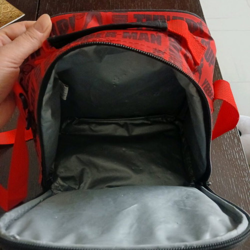 Insulated lunch bag like new