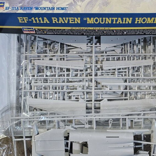 Hasegawa EF-111A Raven "Mountain Home" modeling kit new