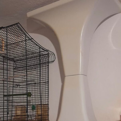 Bird cage with stand