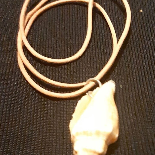 Natural shell necklace with leather strap new, handmade, gift pouch