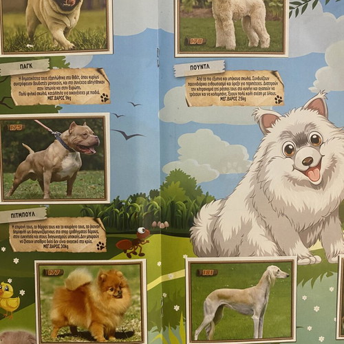 Carouzel Jungle 3 Sticker Album like new