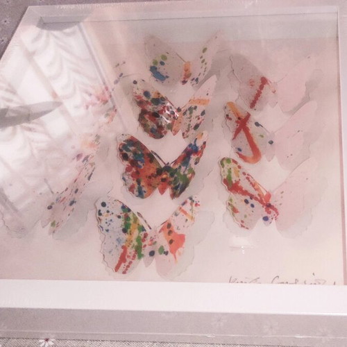 Olunda decorative frame with butterflies new