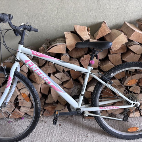 Two mountain bikes used for elementary and middle school kids