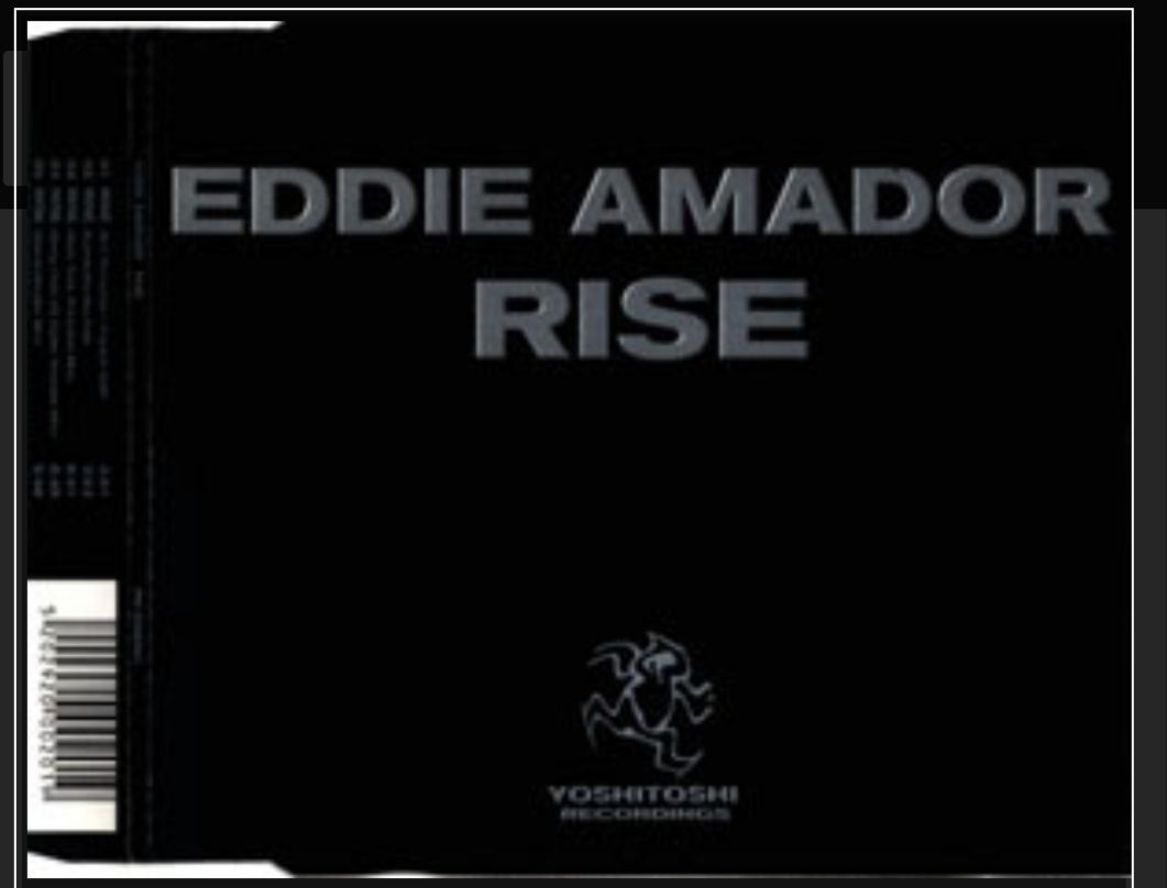 未使用 Eddie Amador - Rise / レコード Eddie Amador - Rise on Traxsource