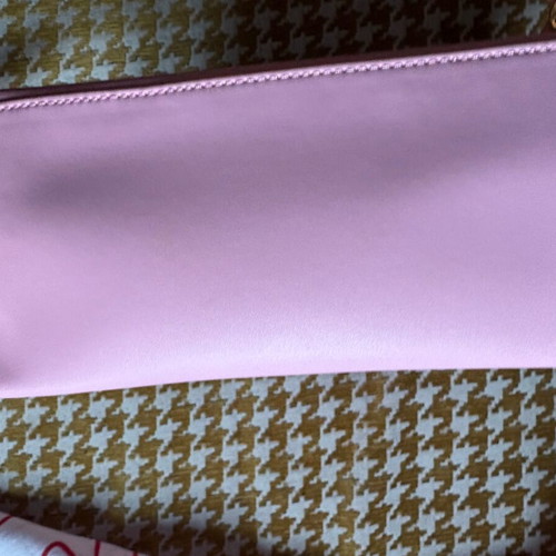 Chiara Ferragni bag new with case