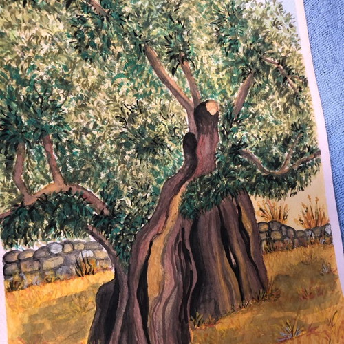 Olive tree watercolours painting new, decoration or gift