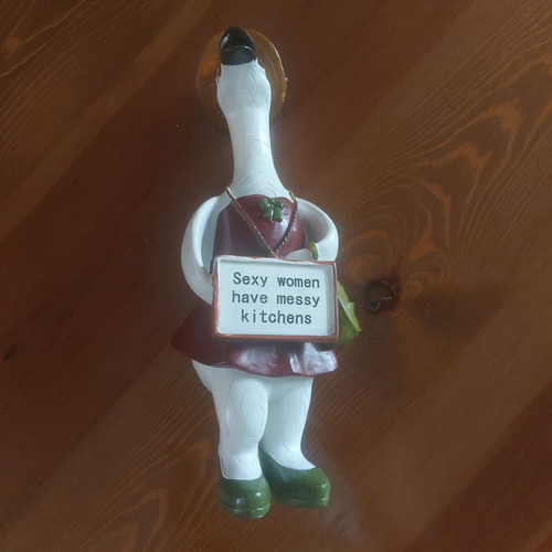 Humorous decorative duck with hat and sunglasses, like new