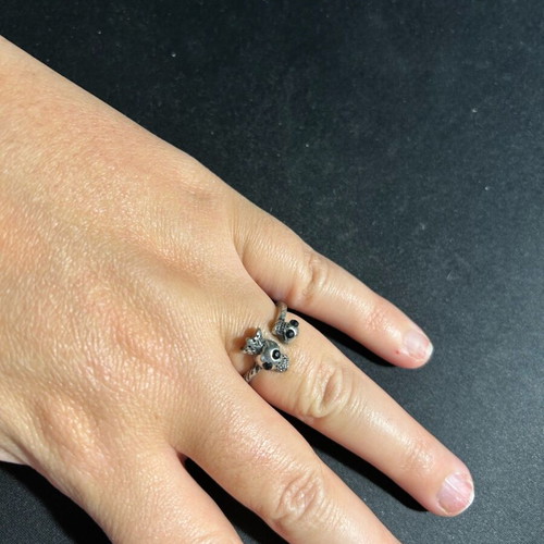 Ring with skulls used
