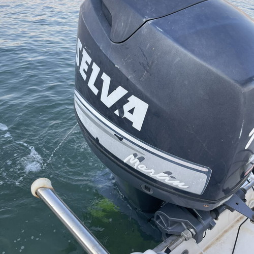 Selva 6.0 Boat like new with 100 HP engine and trailer
