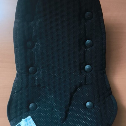 Dainese H-P-C back protector for motorcycle jacket