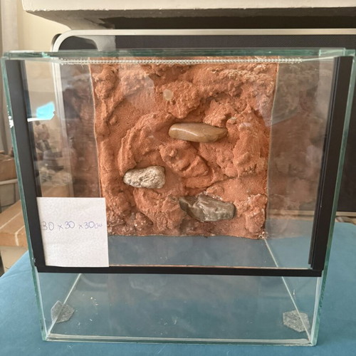 Glass terrarium used with 3D background 30×30×30 cm