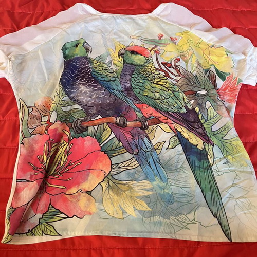 Figaro blouse like new, multicolor, one size