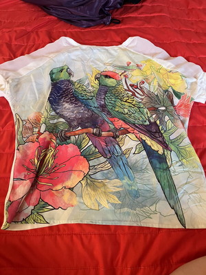 Figaro blouse like new, multicolor, one size