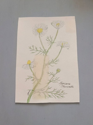 Artwork with watercolors hand-painted flowers about 14x20cm