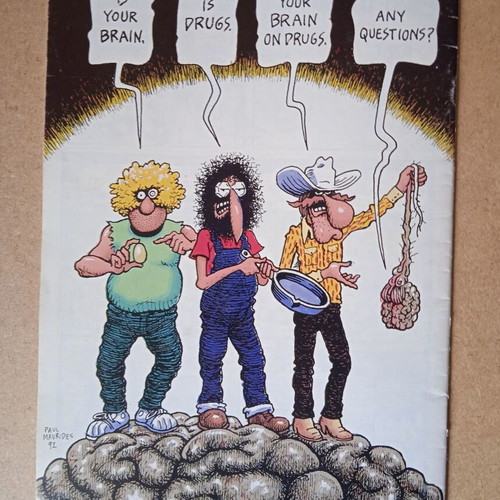 The Fabulous Furry Freak Brothers #12 comic magazine used, English