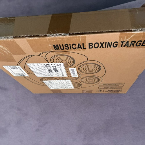Musical Boxing Target QJB-01 new with Bluetooth and music