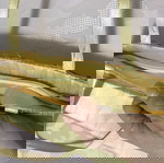  Τσαντακι
