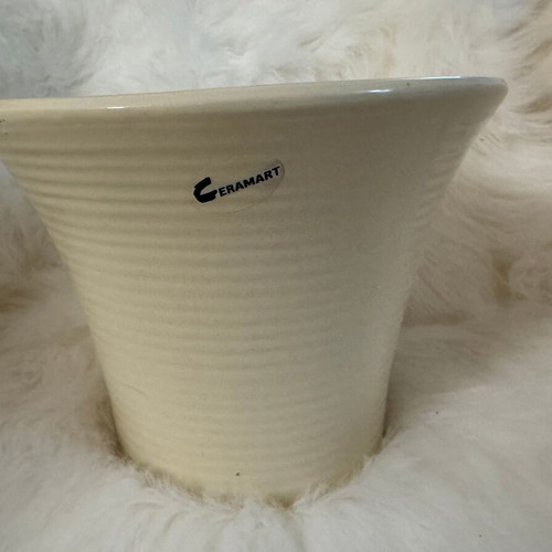 Beige ceramic flowerpot and new