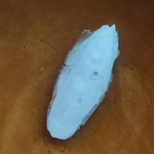 Cuttlebone for pets like new