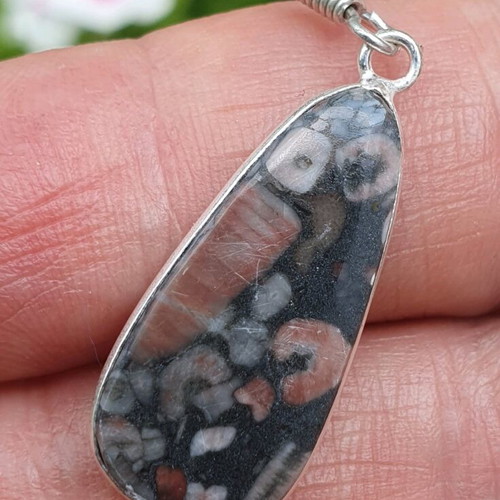 Fossil Crinoid Earrings Silver Plated 925 New Handmade