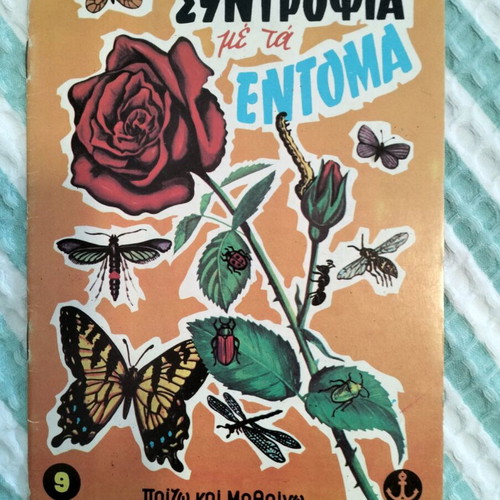 Companionship with Insects children's book in good condition