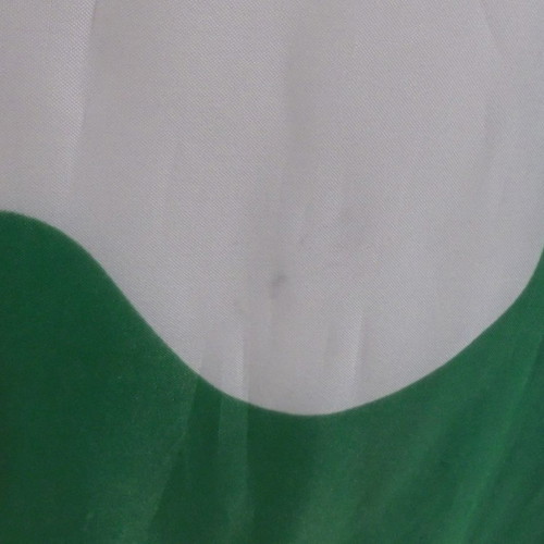 Panathinaikos FC advertising fabric flag used with plastic handle