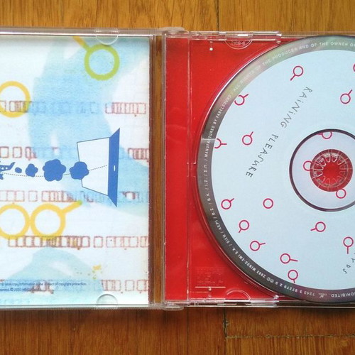 Raining Pleasure Forwards and Backwards CD used, pop