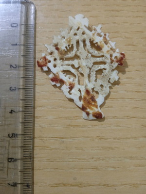 Ethiopian bone cross vintage used