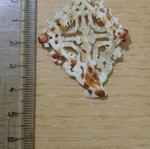 Ethiopian bone cross vintage used