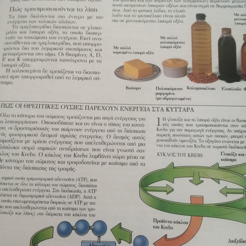 Diet and Nutrition used book in excellent condition