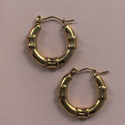 Stainless steel earrings new