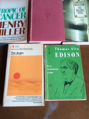 English literature books used, very good condition, set of 4