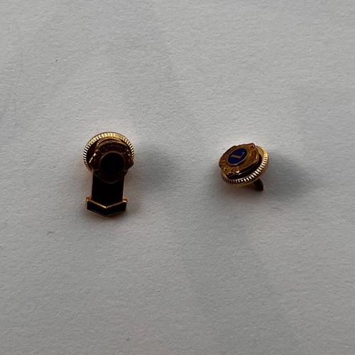 Lions International pins set brass and enamel like new