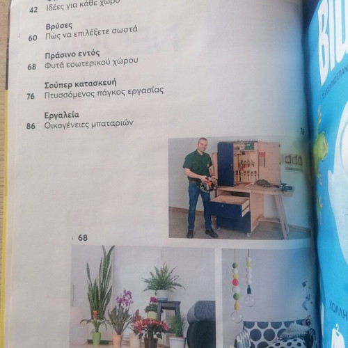 Mastoremata Issue 273 used