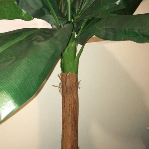 Artificial banana plant used, height 1.80 m