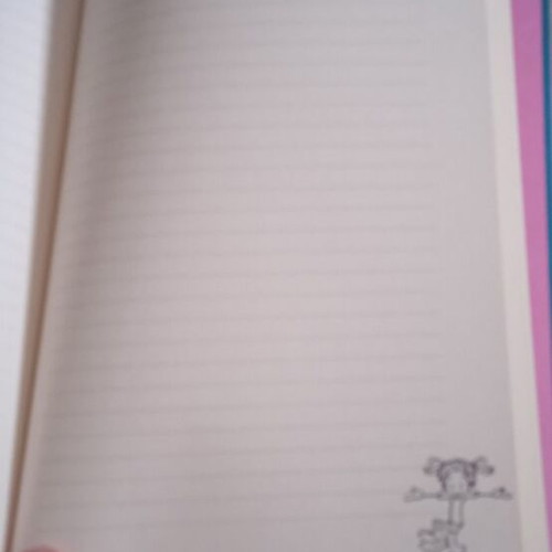 The Diary of a Wimpy Kid like new