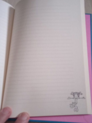 The Diary of a Wimpy Kid like new