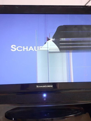 Schaub Lorenz 22” μεταχειρισμένες πλακέτες τηλεόρασης μοντέλο LT22-120AB