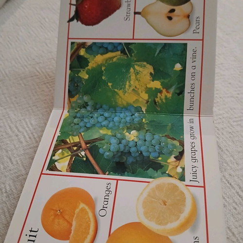 English books like new, set of 3 for children