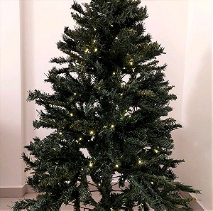 Χριστουγεννιάτικο δέντρο με λαμπάκια
